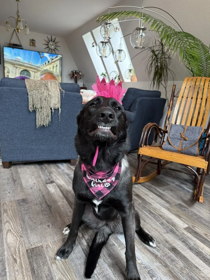 Ellie wearing a pink birthday crown