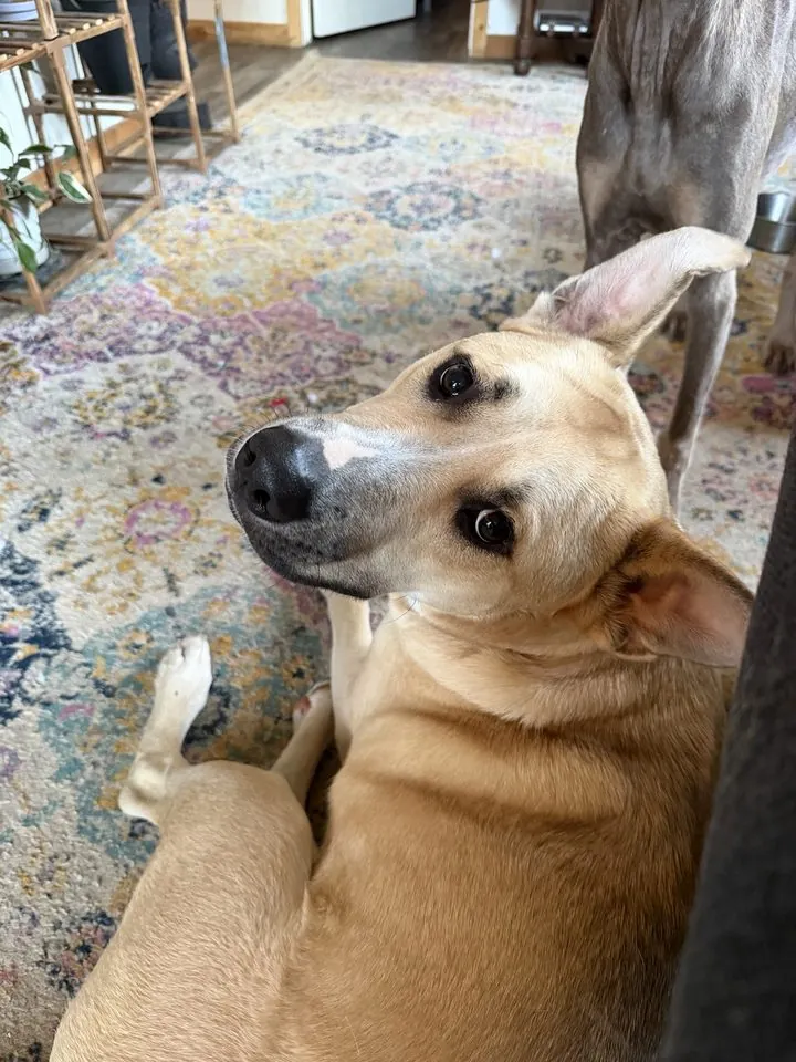 Radar looking up at the camera